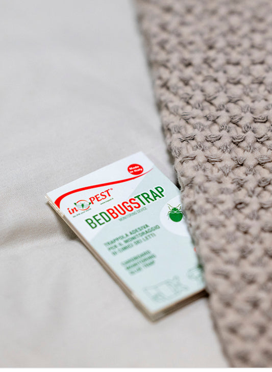 BED BUGS TRAP monitoraggio Cimici 10 pezzi