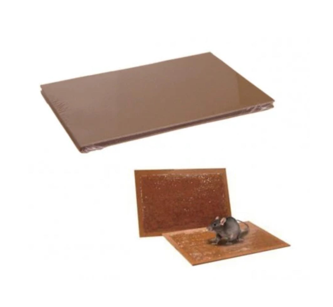 Tavoletta collante topi 2 pezzi.